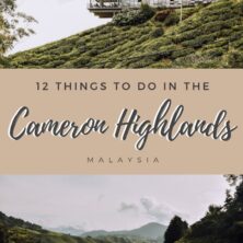 12 things to do in the cameron highlands (2)