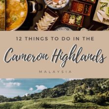 12 things to do in the cameron highlands (2)