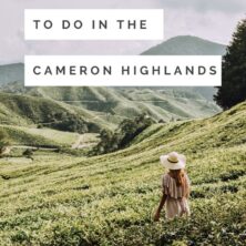 12 things to do in the cameron highlands (2)