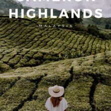 12 things to do in the cameron highlands (2)