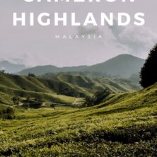 12 things to do in the cameron highlands (2)