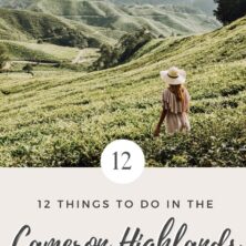 12 things to do in the cameron highlands (2)