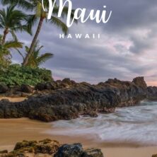 The 14 Best AirBnBs In Maui, Hawaii