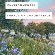 The Positive Environmental Impact Of Coronavirus