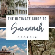 Savannah Guide